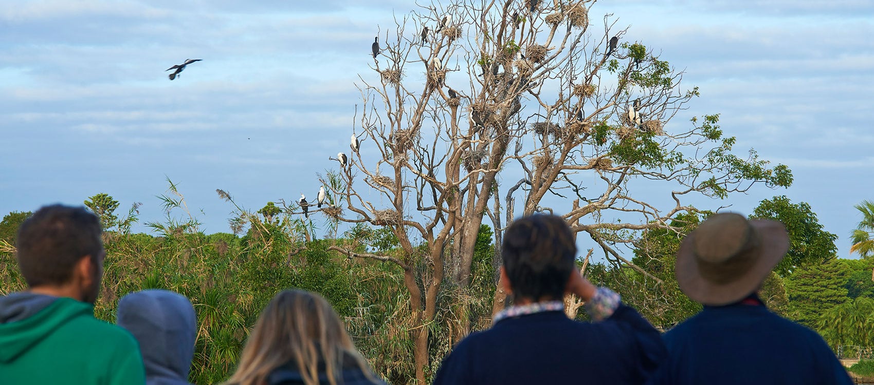 Rare endemic birds of Western Ghats