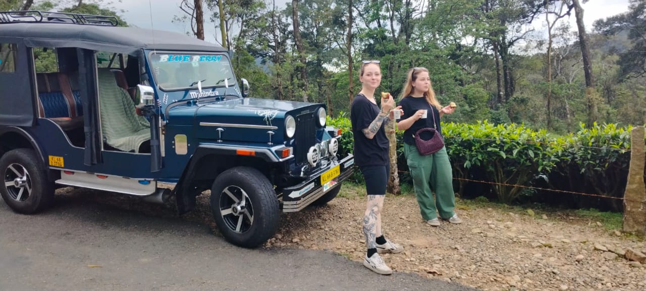 Jeep in tea gardens