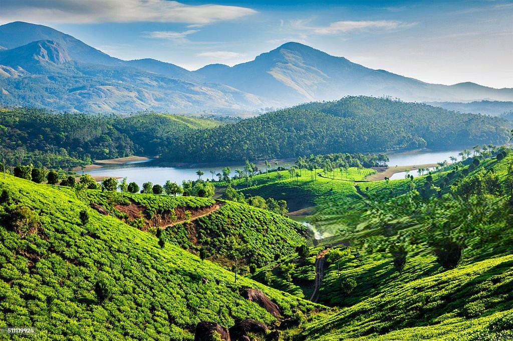 Munnar landscape