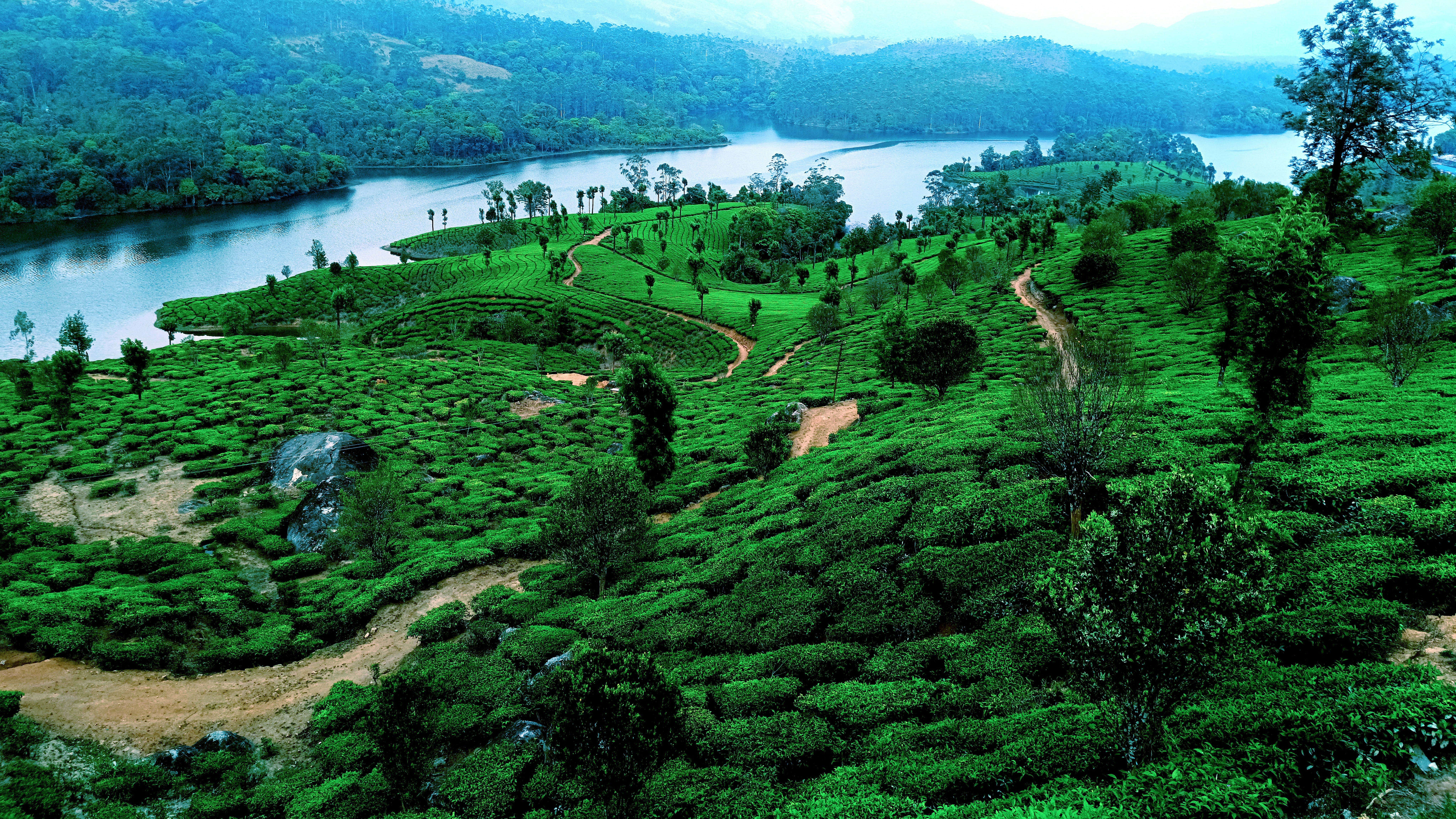 Munnar mountains